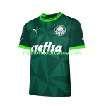 Maillot/Tenue Palmeiras Domicile 2023/2024